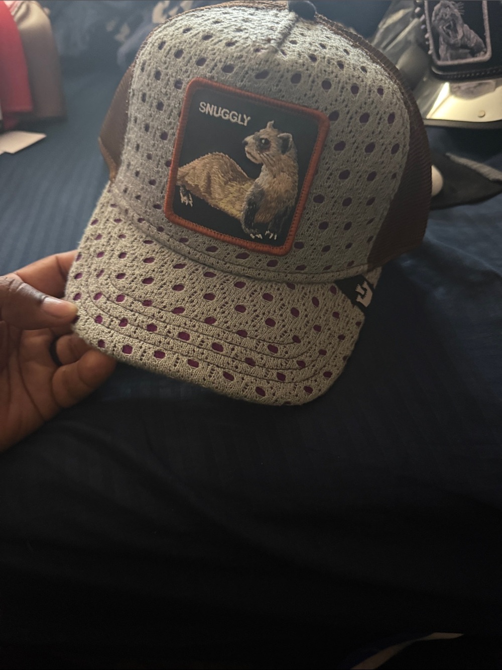 Dolce & Gabbana Brown Trucker Cap with Purple Underside